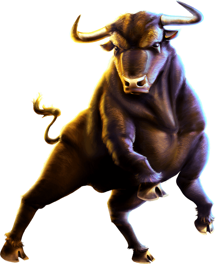 Wild Bulls image