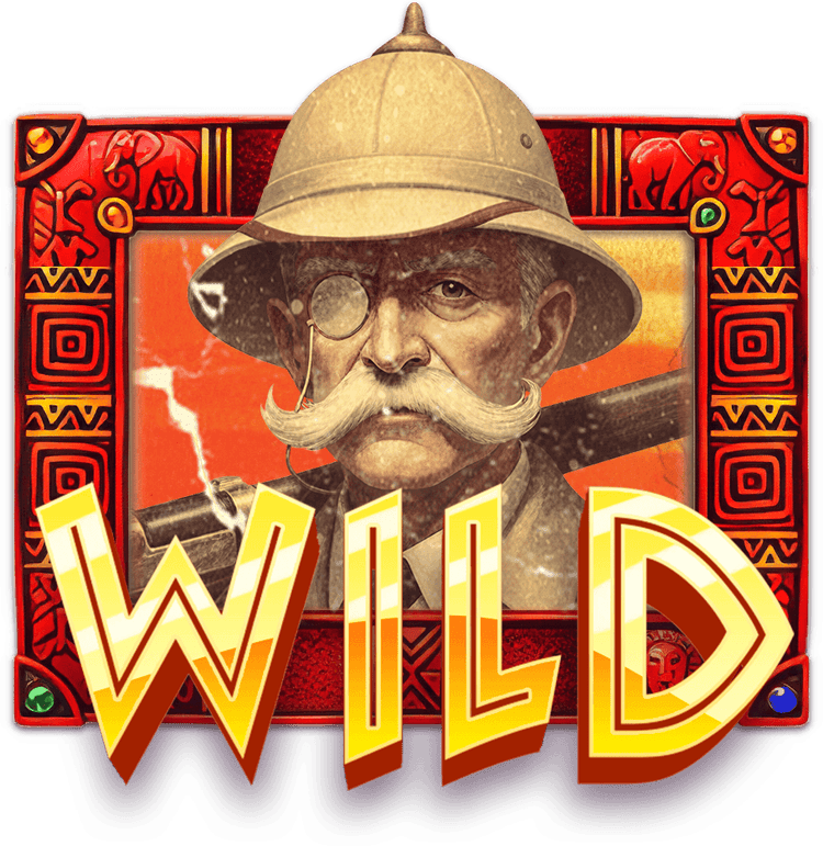 Wild Symbols image