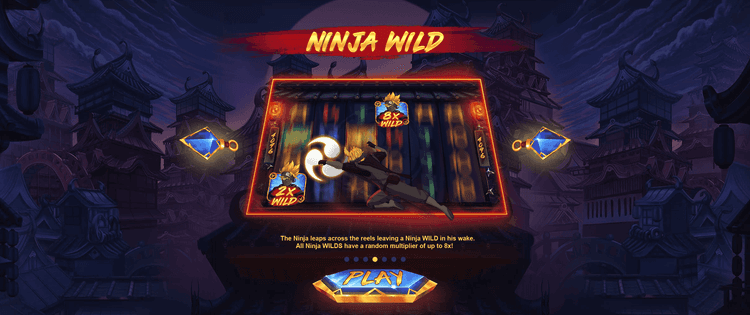 Ninja Wilds image
